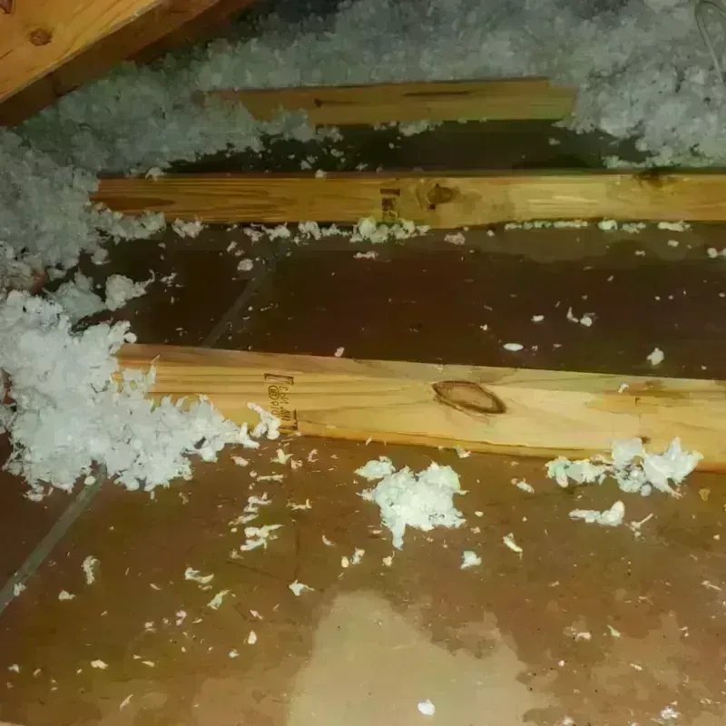 Attic Water Damage in Bald Knob, AR